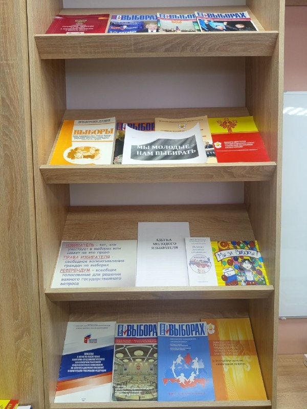 Книжная выставка ко дню молодого избирателя «Мы молодые - нам выбирать»