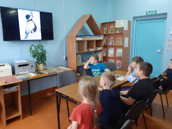 12 ноября Синичкин день