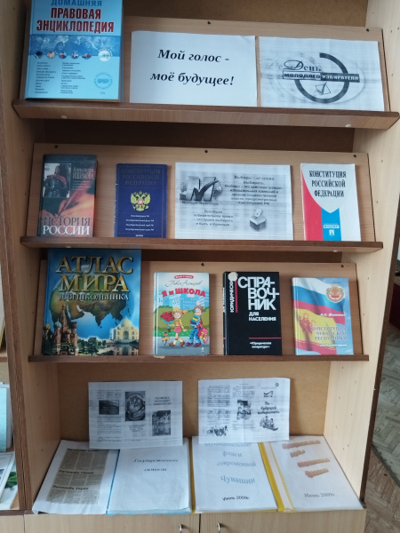 Книжная выставка "Мой голос - моё будущее" в Чадукасинской сельской библиотеке.
