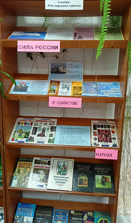 Книжно-иллюстративная выставка "Сила России - в единстве народа".