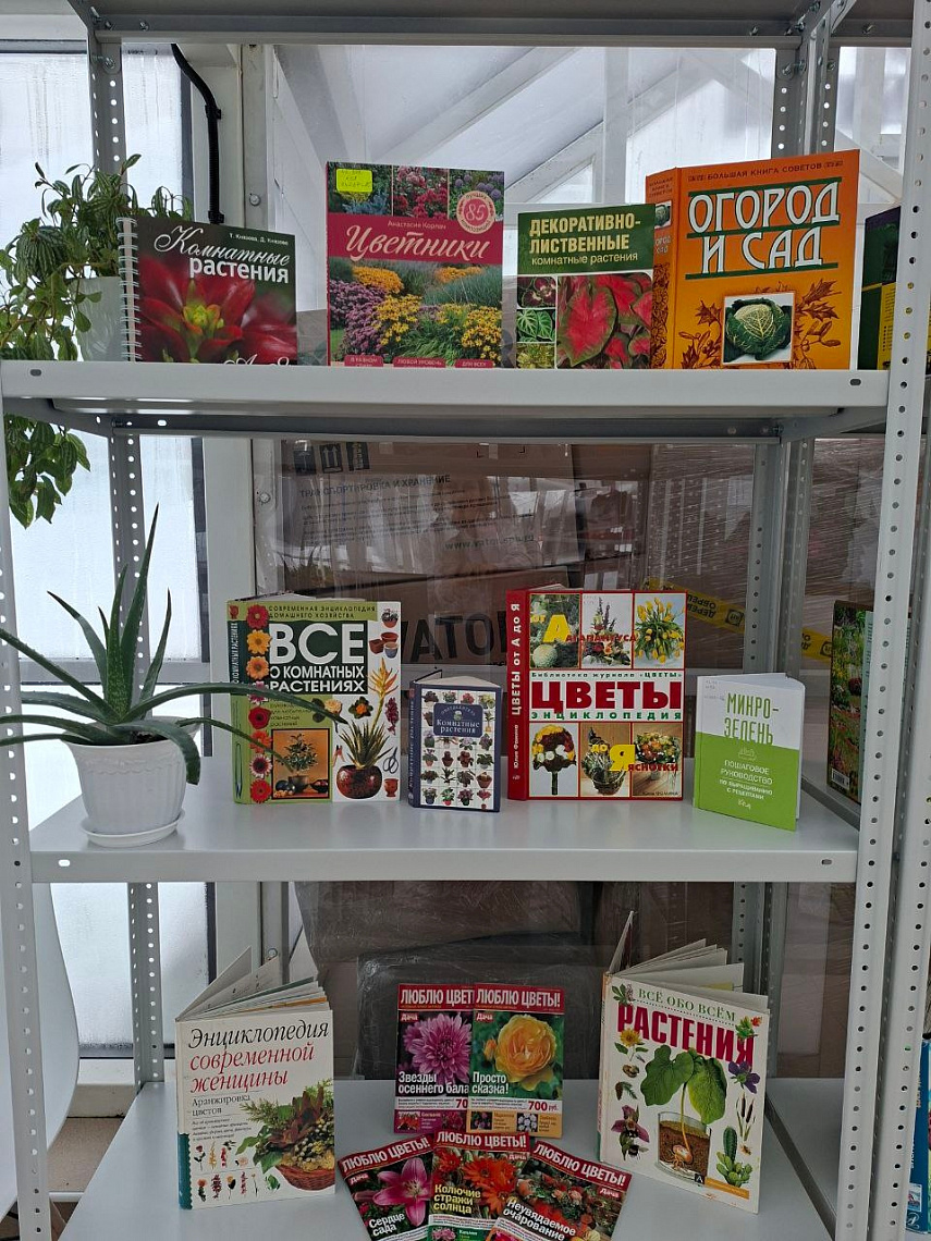 Экскурсия шестиклассников в ПОЗИТИВ