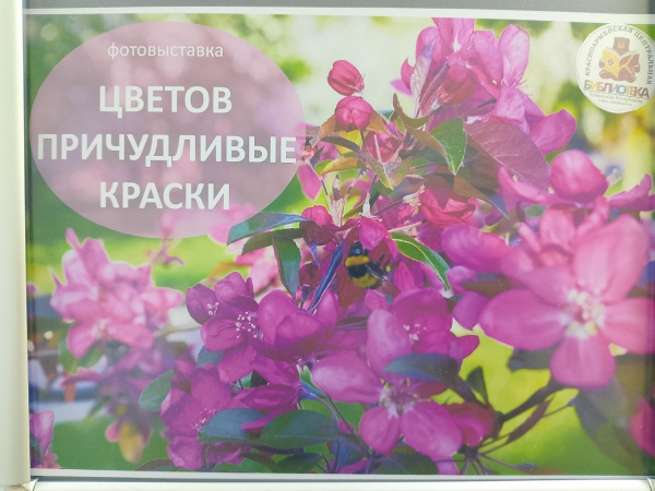 Персональная фотовыставка «Цветов причудливые краски» Татьяны Павловны Афанасьевой