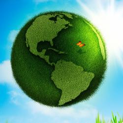 Экологическое ассорти