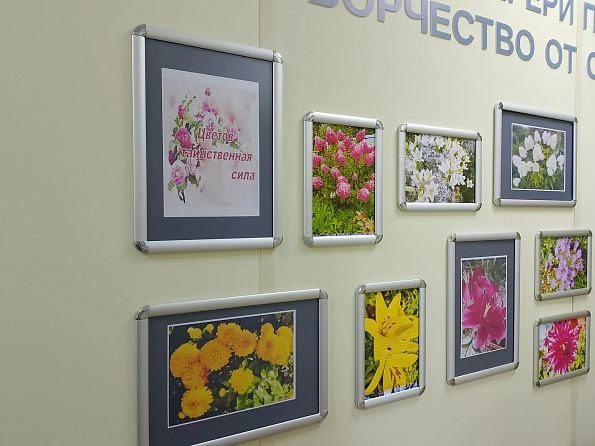 Лето пролетело, но его яркие краски остались с нами!
