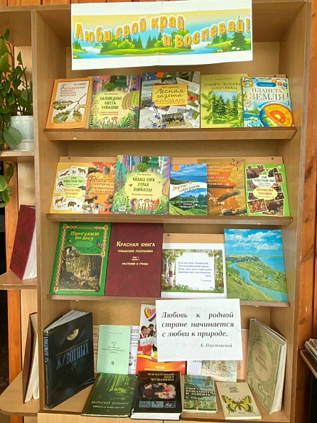 Чистота природы-чистота души