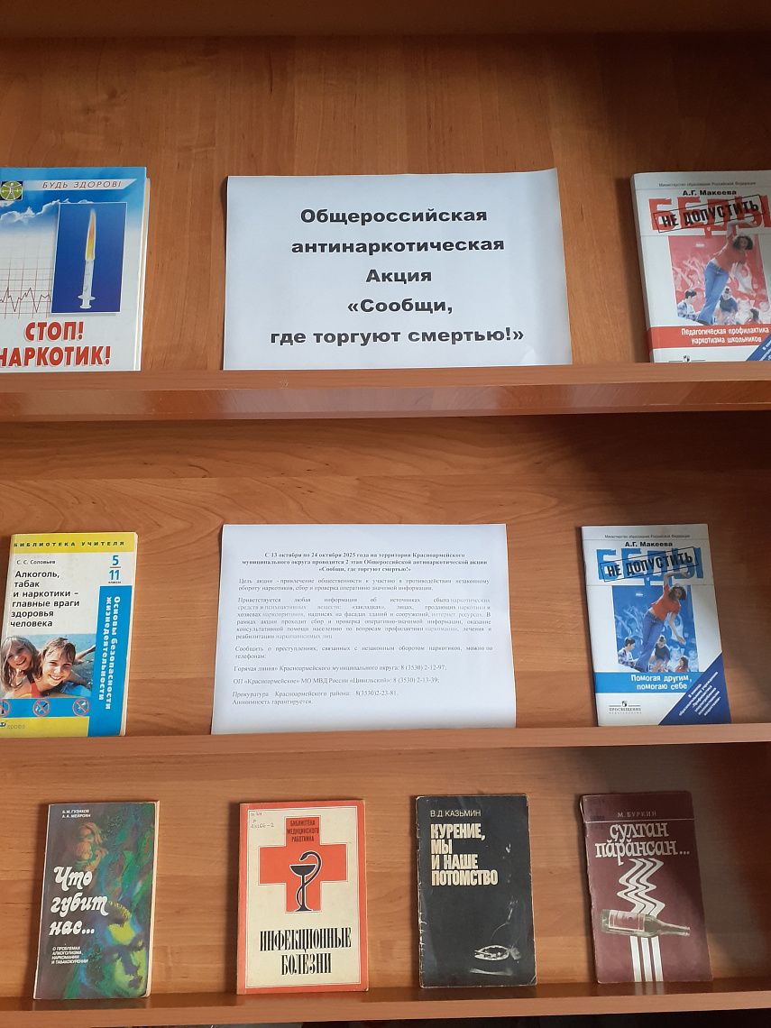 Информационный час «Мир без наркотиков» в Яншихово-Челлинской библиотеке