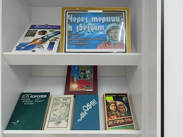 Книжная выставка «Через тернии – к звездам».
